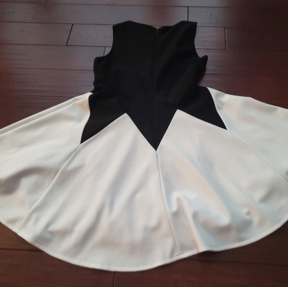 Black & Off White Fitted Flare Dress - Picture 3 of 3
